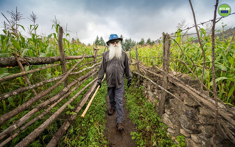 "Als Mensch solltest Du nicht darüber nachdenken, wohin Dich das Leben führen wird. Denke darüber nach, wohin Du es führen willst."

#RetteDenBoden #BewussterPlanet
#SadhguruWeisheit #TäglicheWeisheit #NachInnenWenden #Mensch #Leben #NachDenken #Selbstverantwortung

Schenk uns