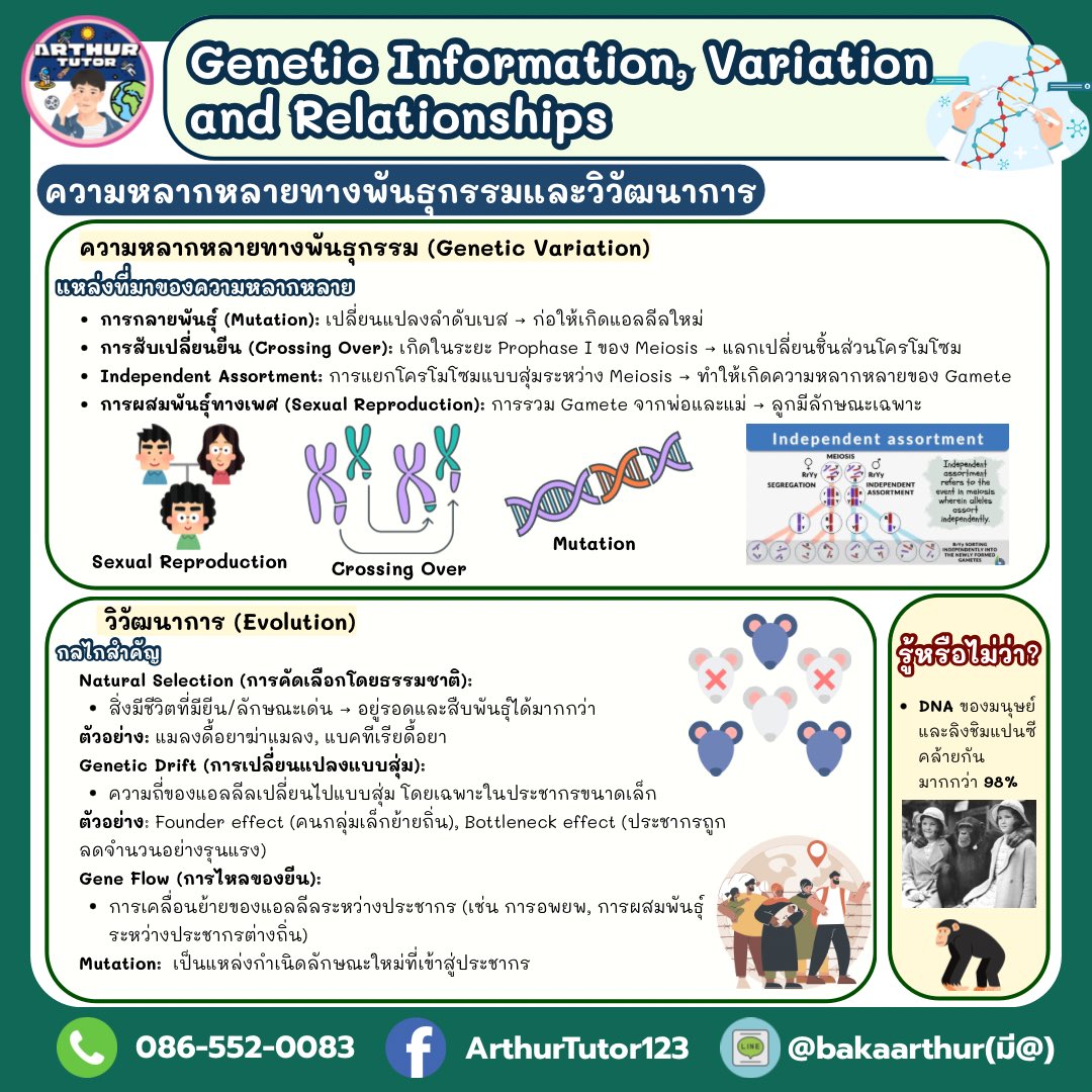 ARTHUR TUTOR tweet media