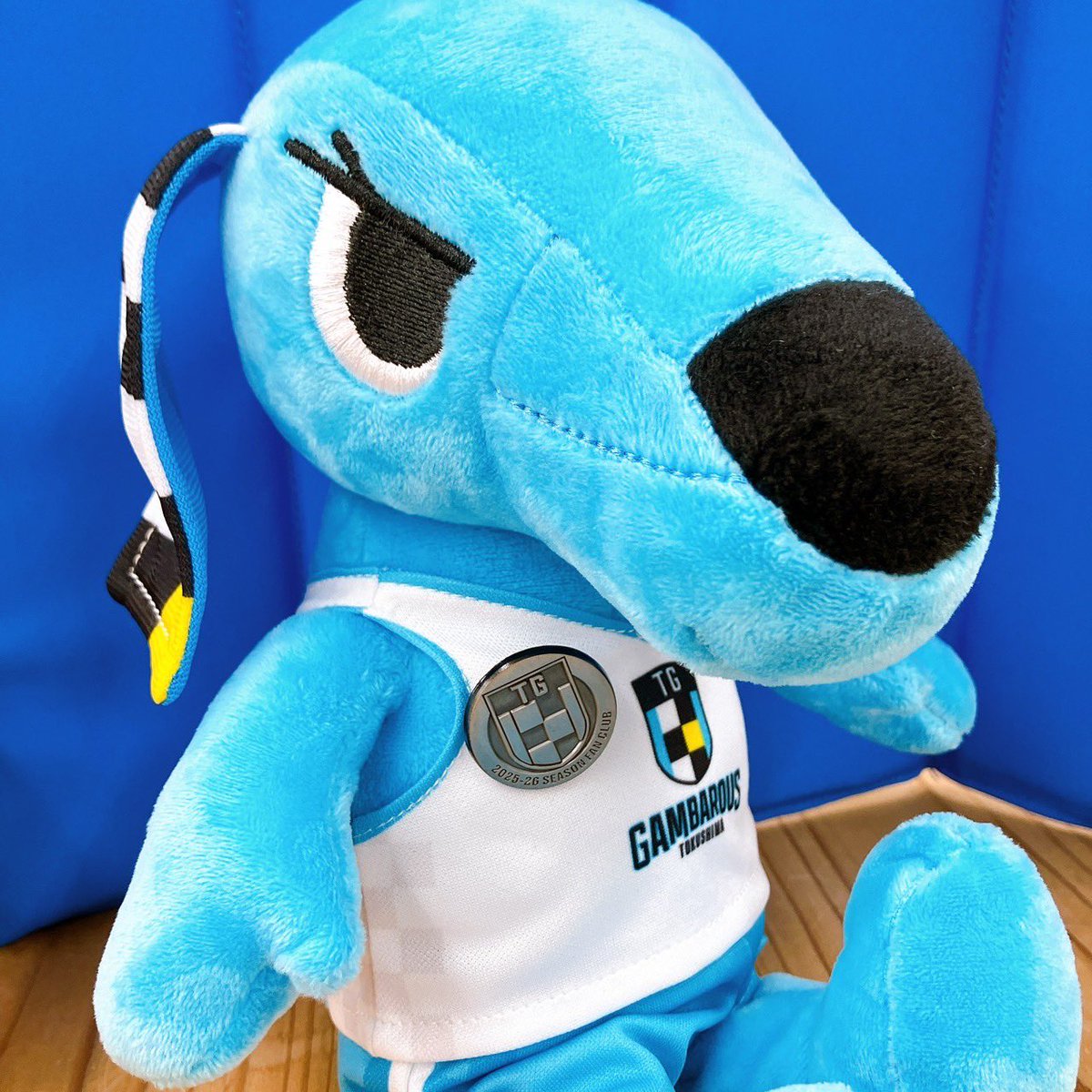 徳島ガンバロウズ【TOKUSHIMA GAMBAROUS】 on X