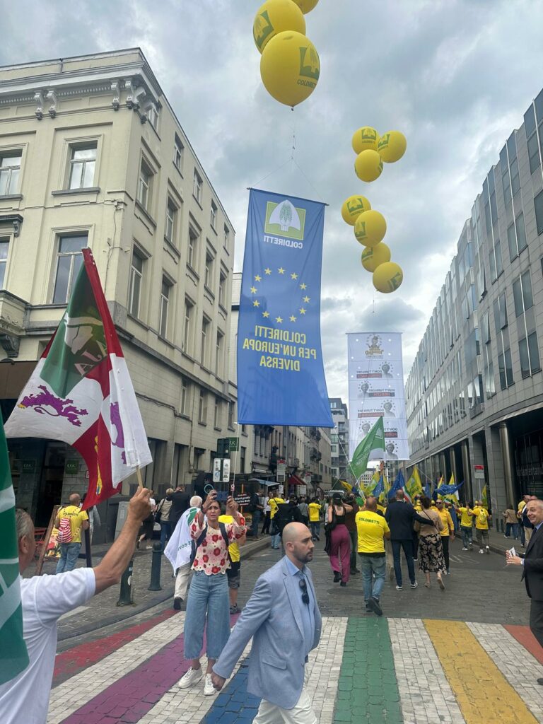 "La Comisión Europea pretende jubilar la PAC después de sus 65 años de historia", artículo de opinión de Juan Pedro Medina, ex-Viceconsejero de Política Agraria Comunitaria y Desarrollo Rural.
asajacyl.com/palencia/asaja…