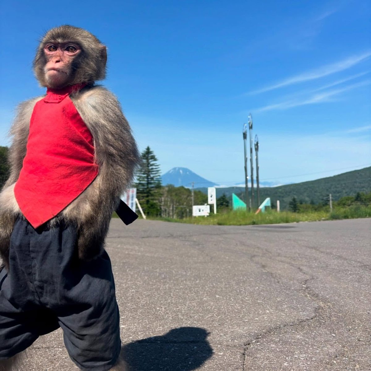 Me waiting for my $10 investment to turn into generational wealth