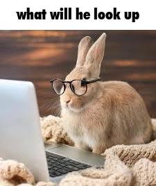 bnu 🐇🍓 (@bunnyluvr__) on Twitter photo 