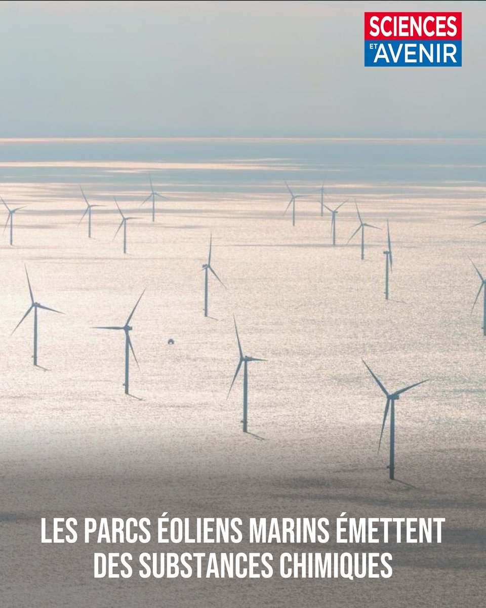 Les parcs éoliens marins émettent des substances chimiques
👉 l.sciencesetavenir.fr/Nvm