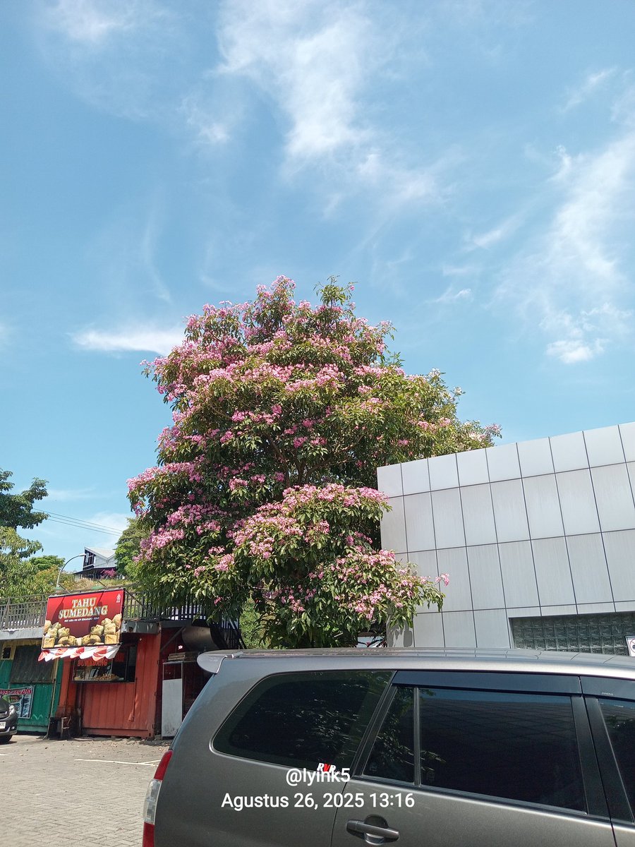 Iyink (@iyink5) on Twitter photo 