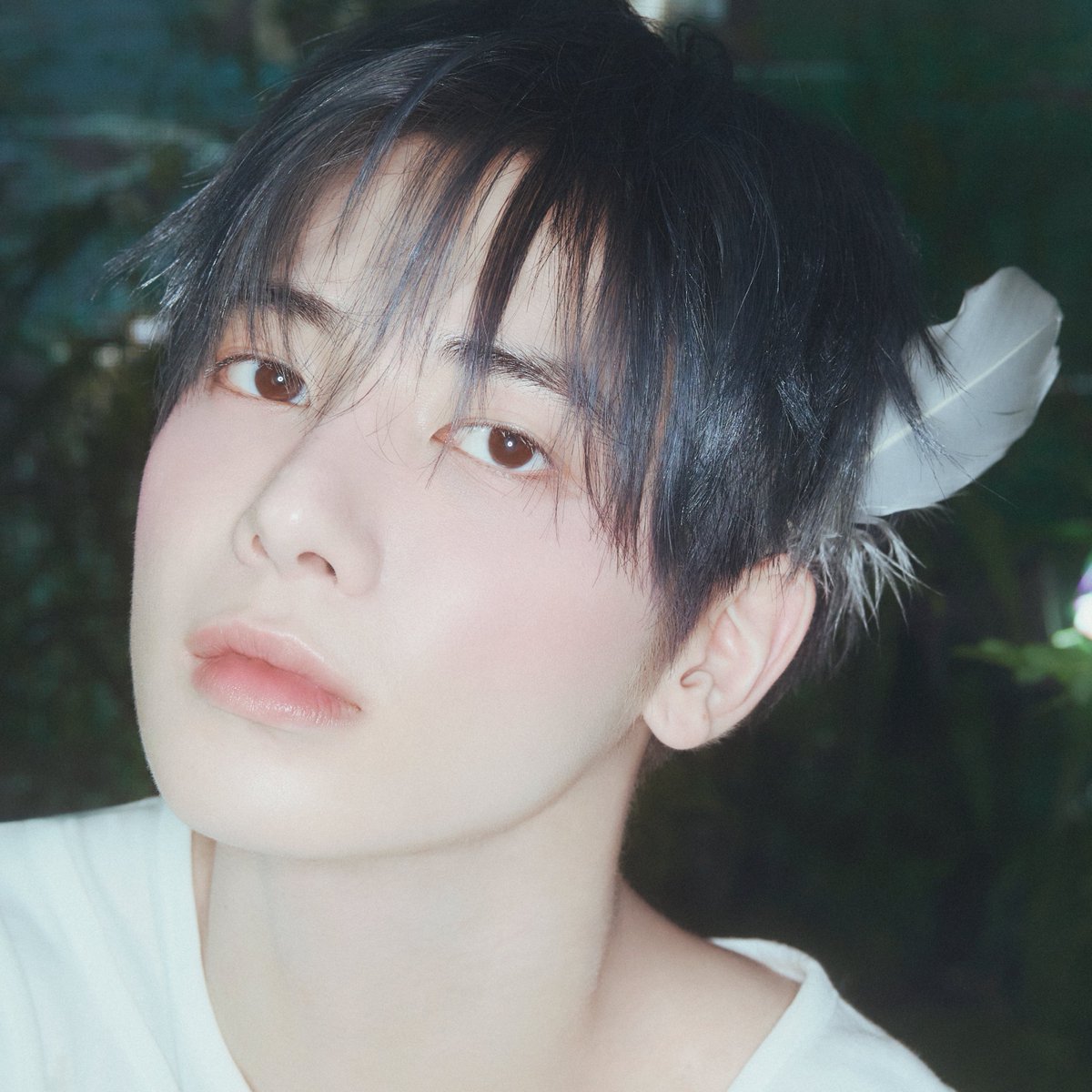 straight out of a fairytale 🪽