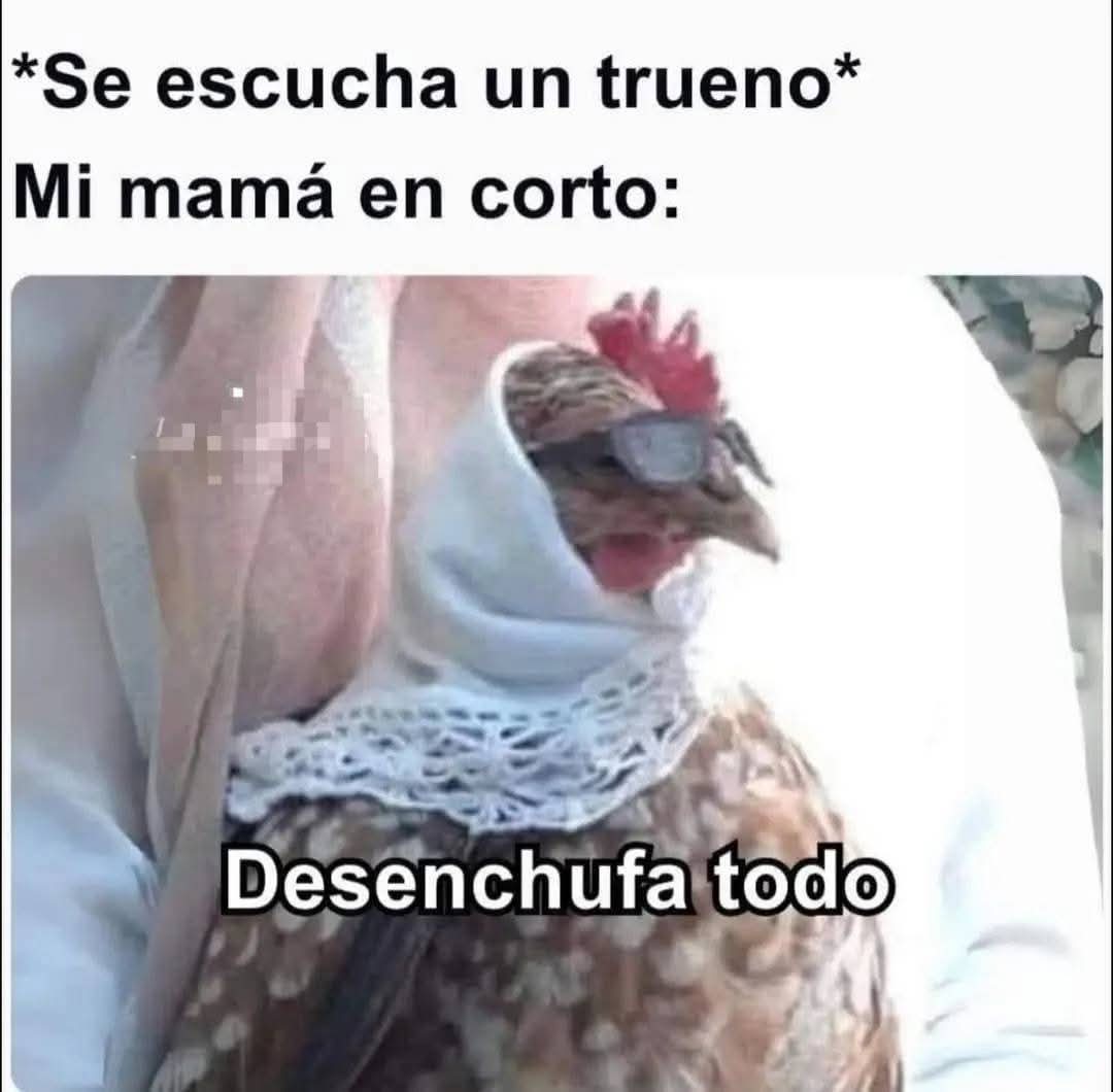 MemesSV7's tweet image. 