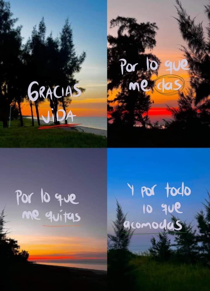 Pensamientos (@frasesimple) on Twitter photo 