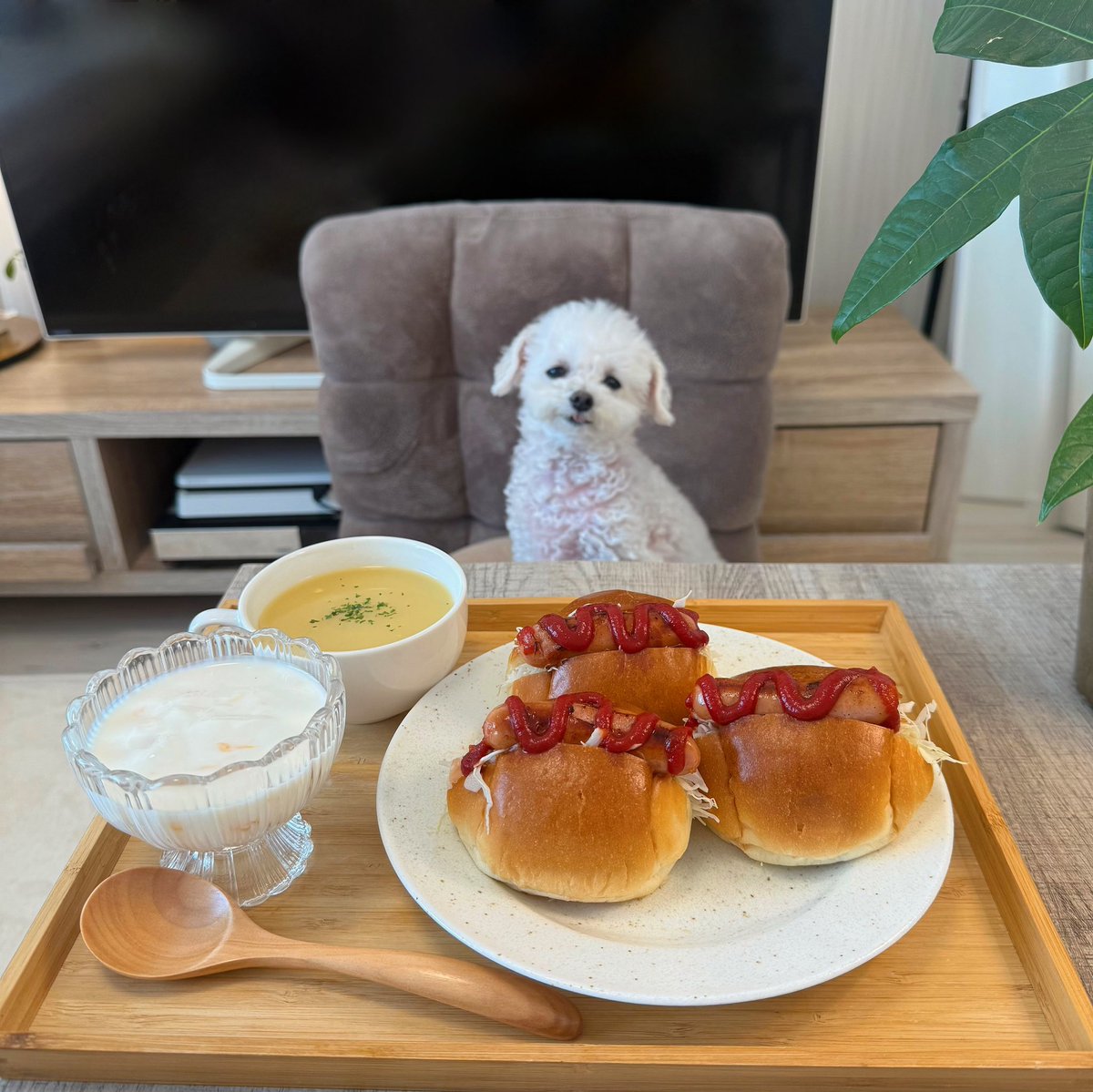 Grace_very_cute's tweet image. 朝はしっかり眠そうな顔