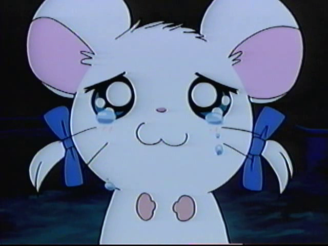 リボンちゃん2点セット♥️ Amazon.co.jp: オビツ11 こぐまのチロルちゃん+うさぎのリボン