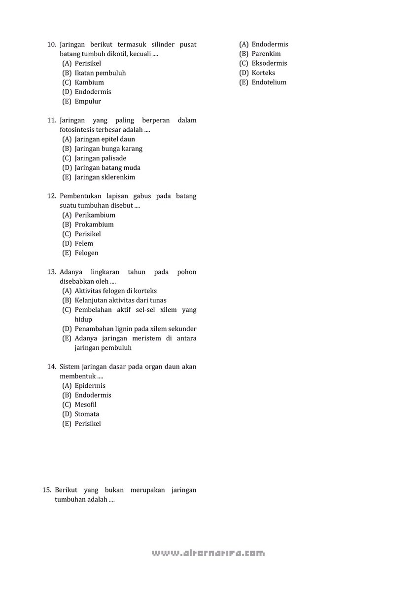 studywithbloom's tweet image. ⋆˚꩜｡Latsol TKA Biologi
✮ | bagian 5: Sel &amp;amp; Jaringan |

𝑙𝑖𝑘𝑒 𝑎𝑛𝑑 𝑟𝑡 𝑦𝑎𝑎!── .✦

#studywithbloom jejak🫧

#studytwt #tka #snbp2026 #AMBISVERSE