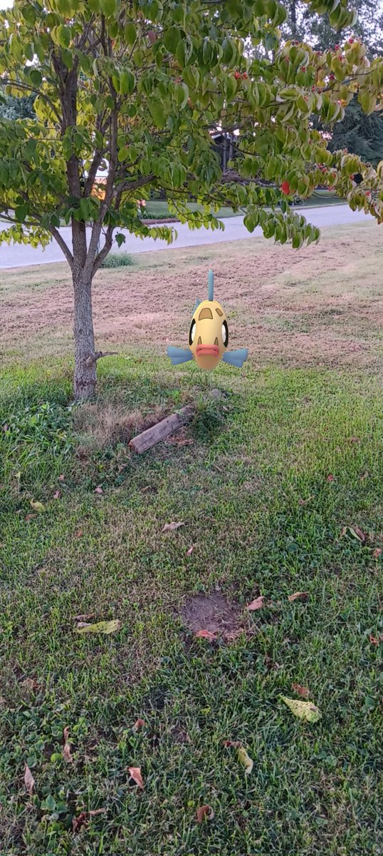 π Unsuspiciously Raising Hell π (@glitchedmask) on Twitter photo Look at this stupid fish. Look at this stupid fish.