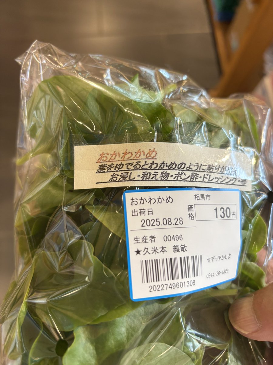 おかわかめ買えた( ´ ▽ ` )ﾉ