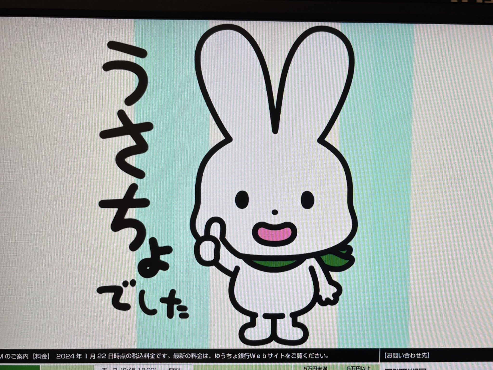 うささん(⁠ ⁠•͈⁠ᴗ⁠•͈⁠) 樋ロ🐰 on X: 