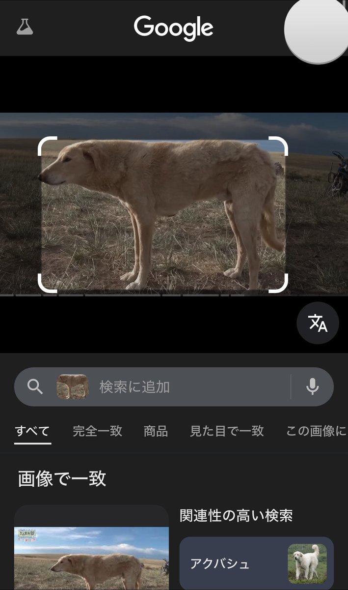 たぬき tweet media