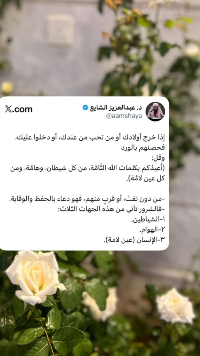 أصبحنا وأصبح الملك لله 🌤️🌿