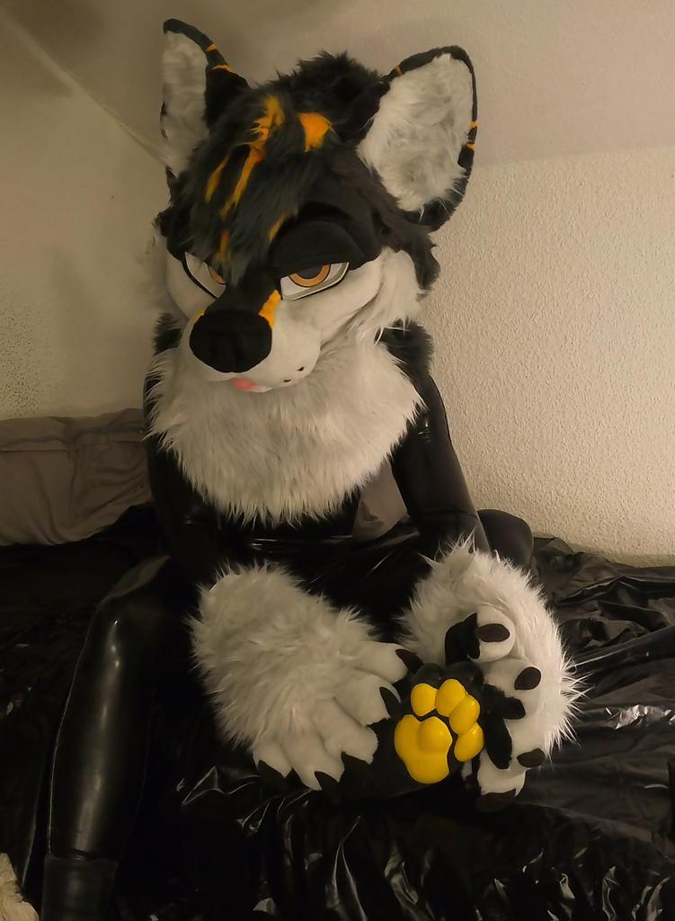 First time trying on the latex suit :3
feels incredible ngl
#Pawgust #fursuit #murrsuit #LatexFur