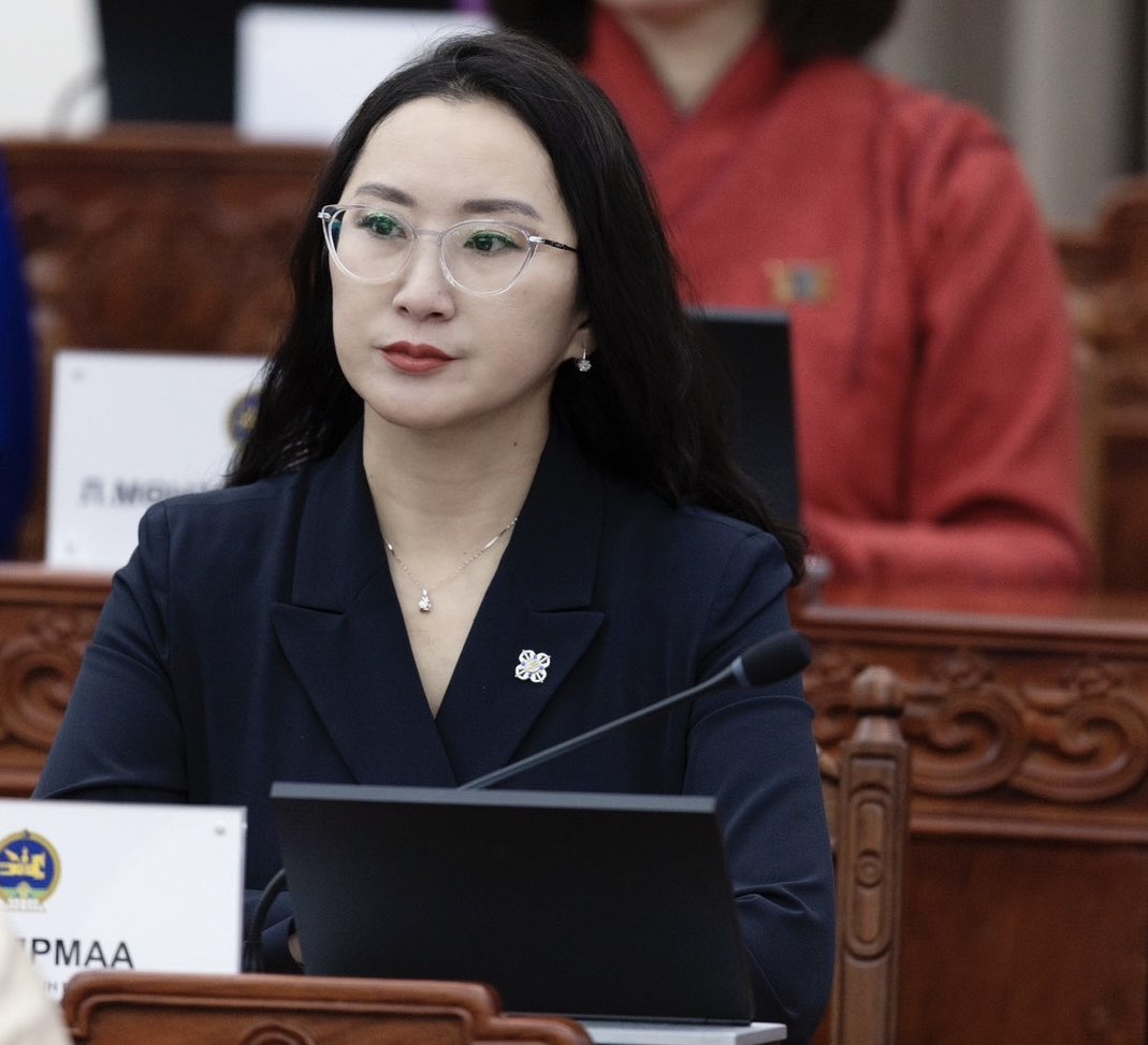 Энэ шавилхан бүсгүйгээс санаанд ч багтамгүй шинэ шийдэл, шинэ уур амьсгал, шилдэг бодлогоууд ар араасаа гарнаа.АН ынхан минь дэмжээд намын даргаа болгочих...