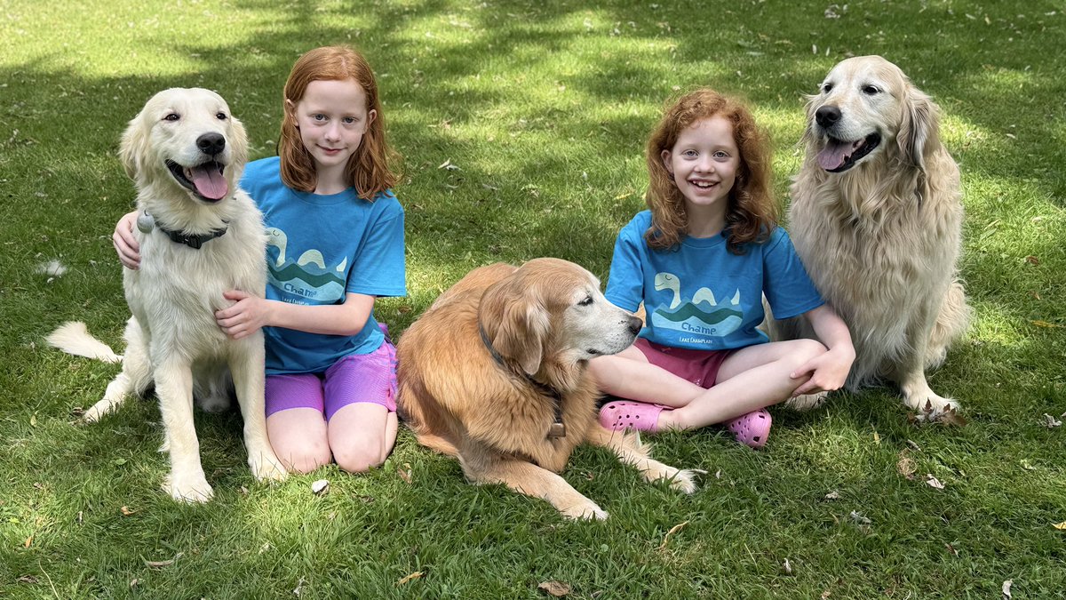 Grandma Camp 2025 is in the books. 

This image well-represents the fun we all had together. ❤️❤️❤️❤️❤️

#BrooksHaven #GrandmaCamp #grc #dogcelebration #GoldenRetrievers