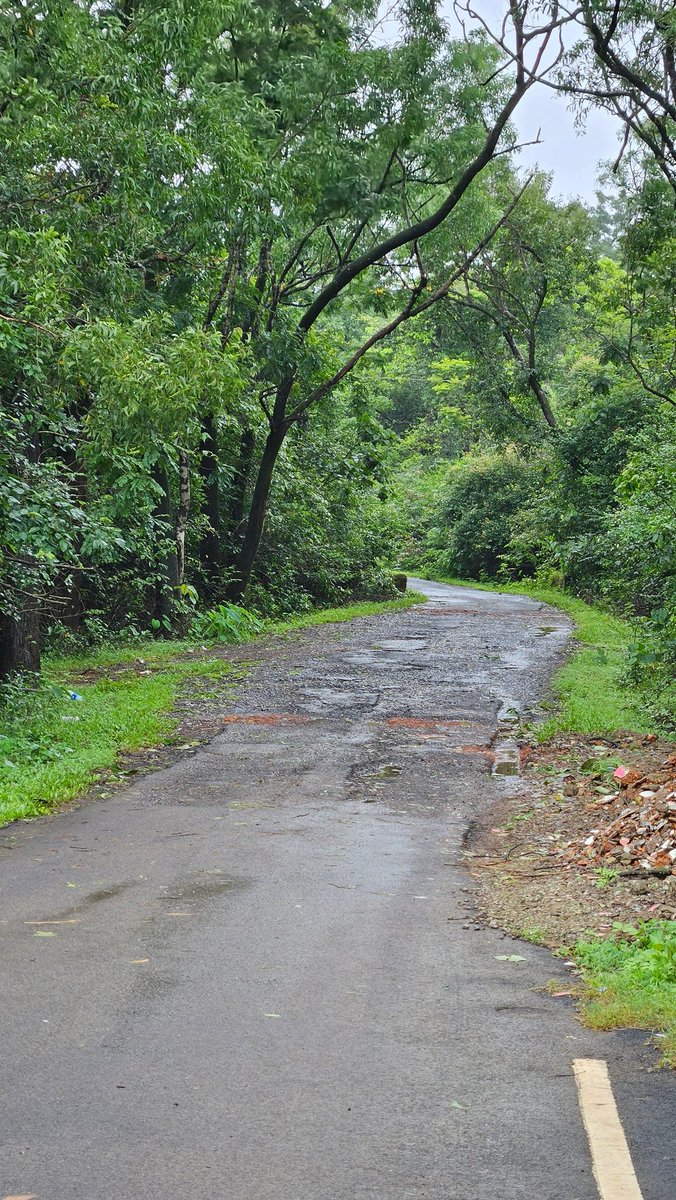 Difference is clearly visible 

Chorla Ghat was made just 3 months ago
Now it has gone to dogs
On Goa side the road is top notch 

x.com/sachin80025/st…