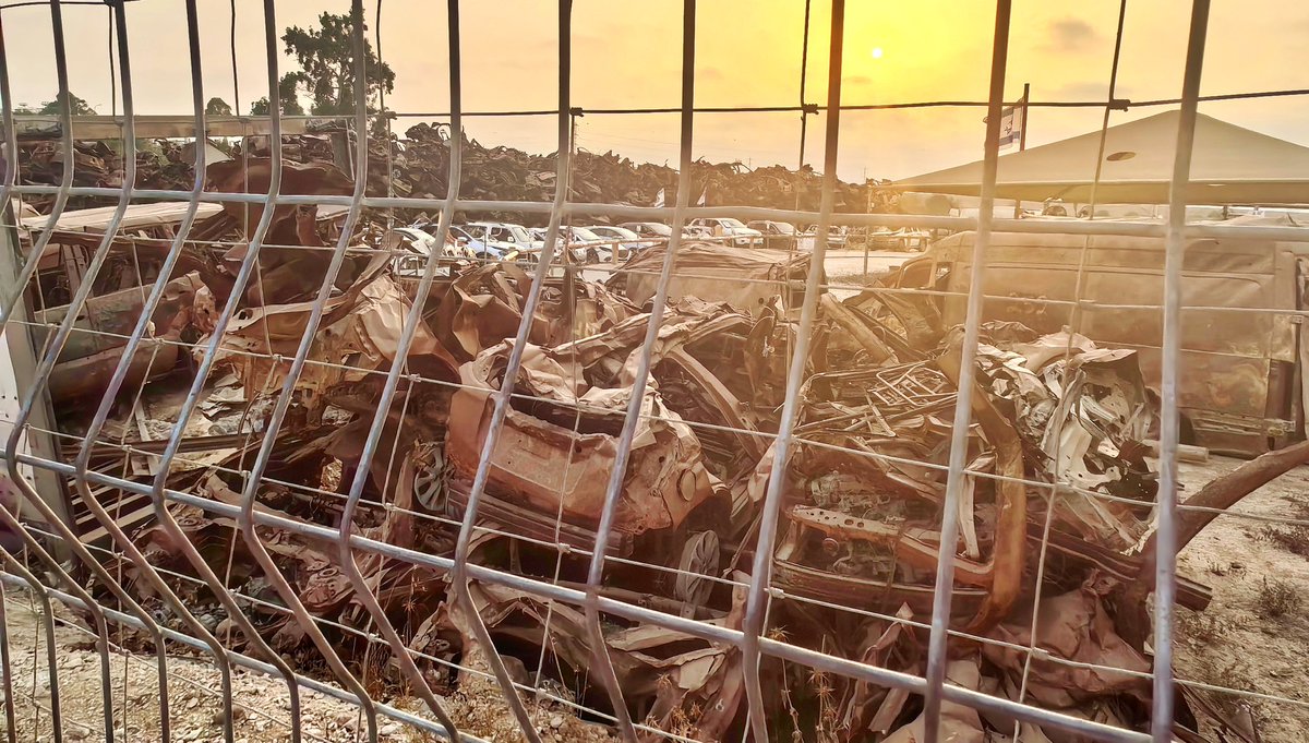 ROY MABASA tweet media