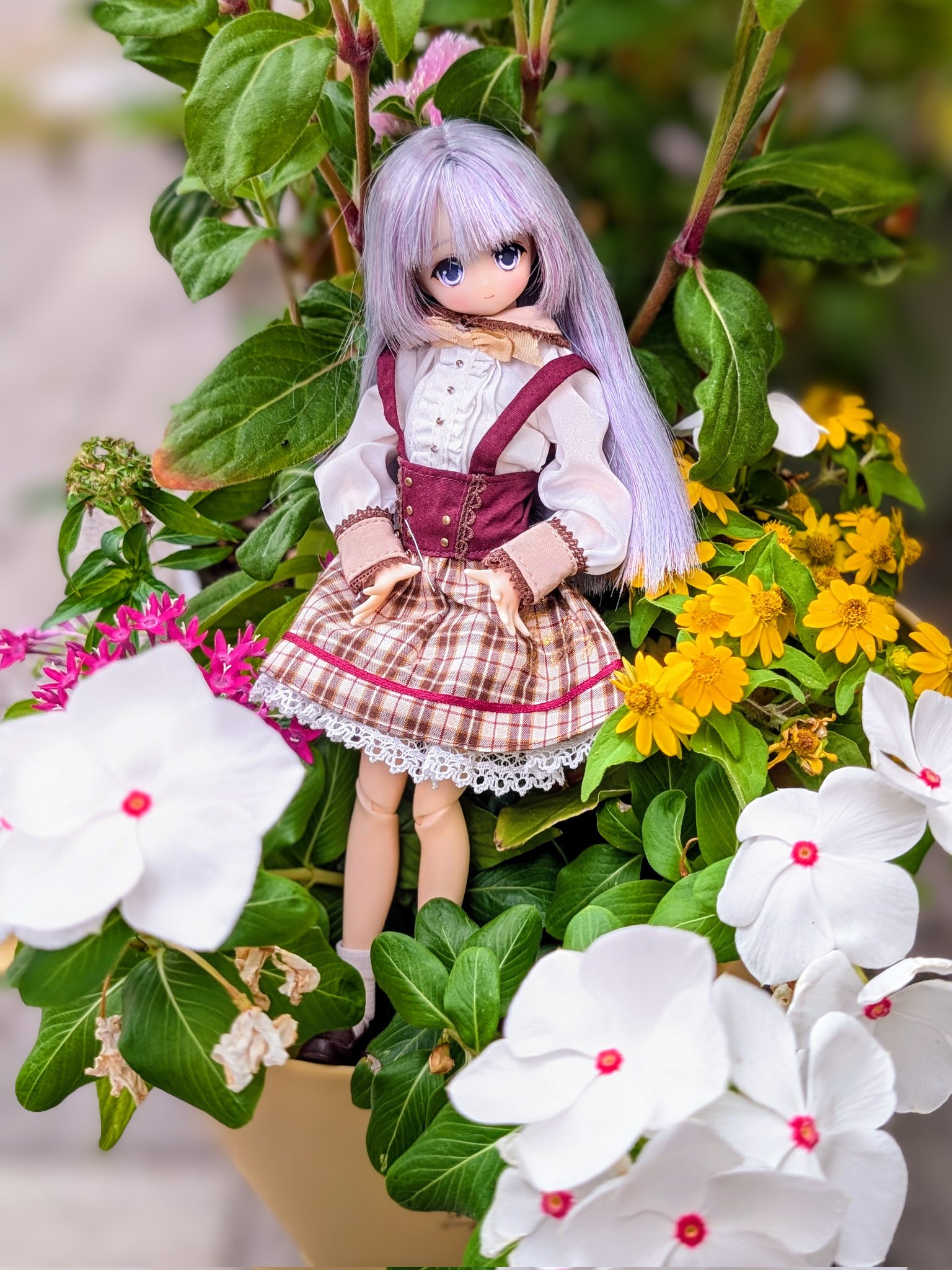 るちゃん✧*。 Starlight breaker on X: 