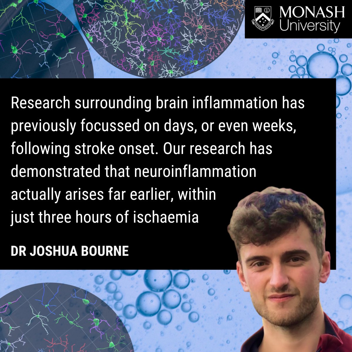 Monash University School of Clinical Sciences tweet media