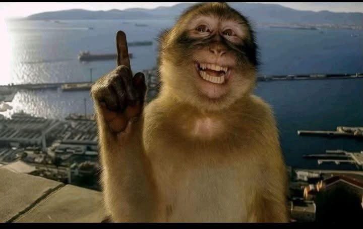 Fucc Nguyeen tweet media