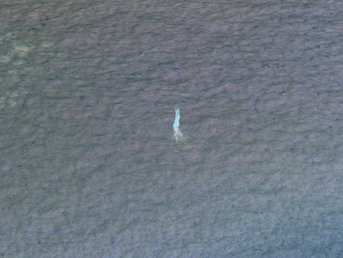 About Photography tweet media