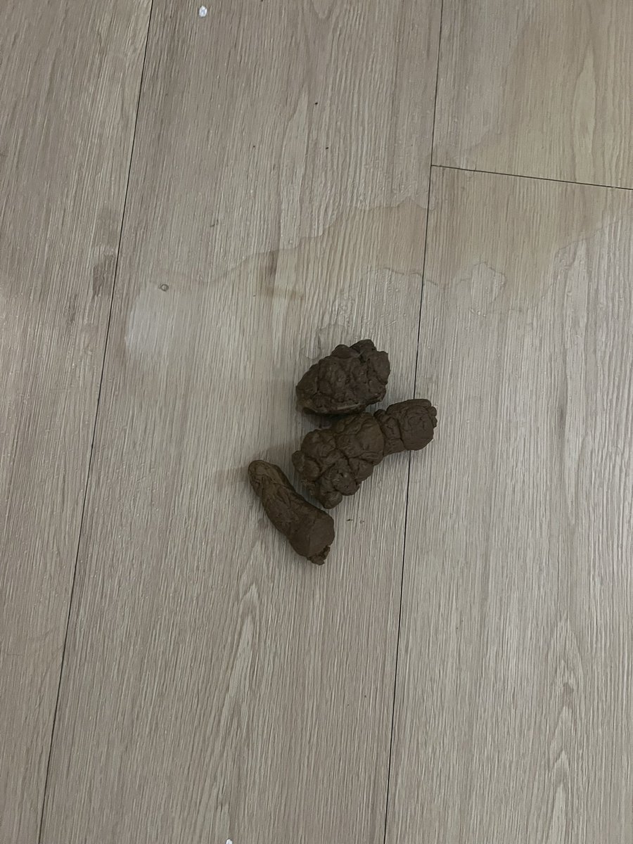 Da Real Leo the freak♒️🐷😈 tweet media