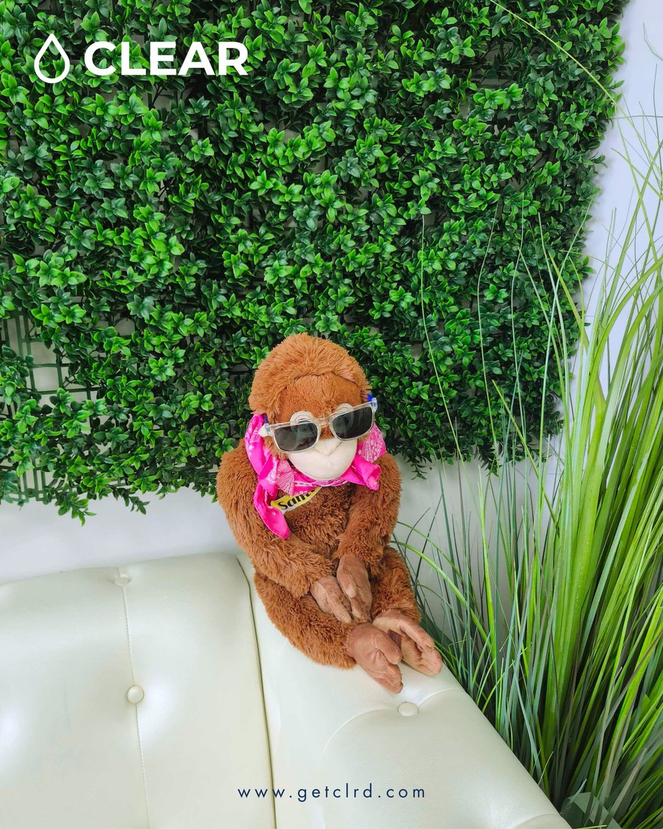 get_clrd's tweet image. Midweek reminder from Jimmy! 😎
"Get tested early, stay stress-free, and enjoy your day.  🔥💪"
#TestWithoutStress #GETCLRD #StayClear #GetTested #SmartIsSexy