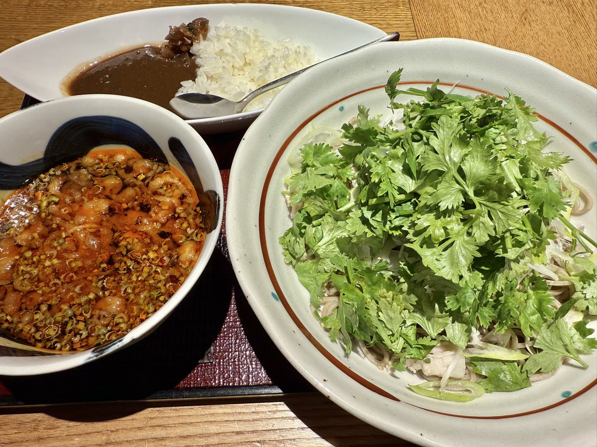 夏の疲れが溜まってきたので
パクチーチャージ！！

旨辛パクチーつけそば
恵比寿松玄