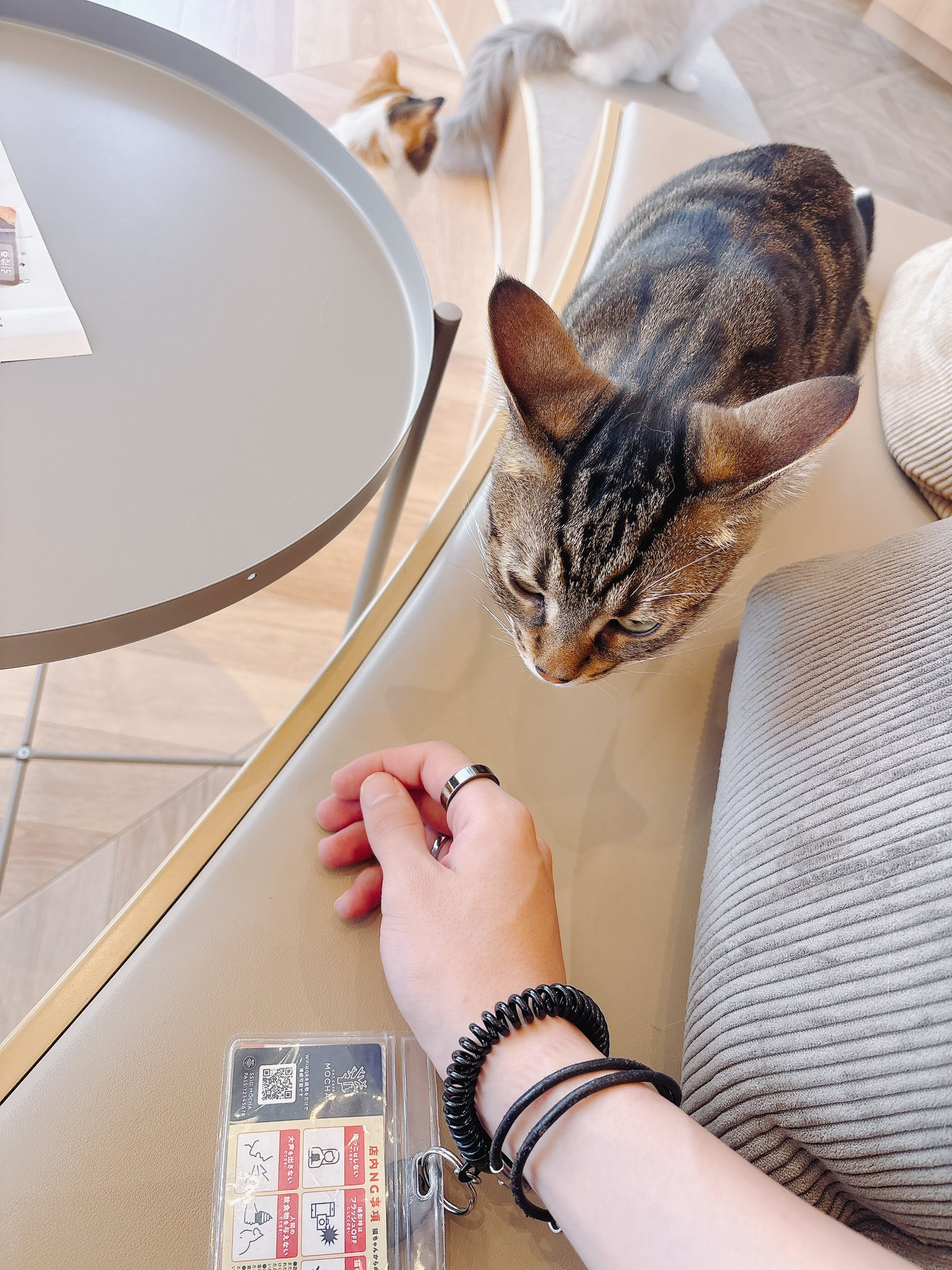 猫 3円 on X: 