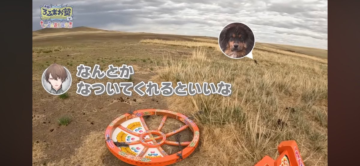 ろふまおモンゴルが最高な所以→犬