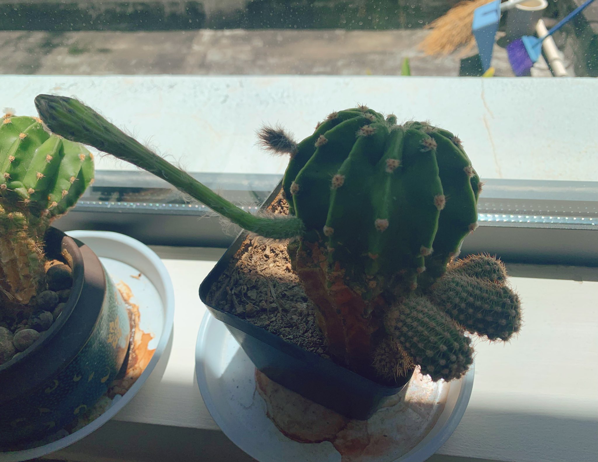 kanonさま検討中 kanon (@kanonhome) / X