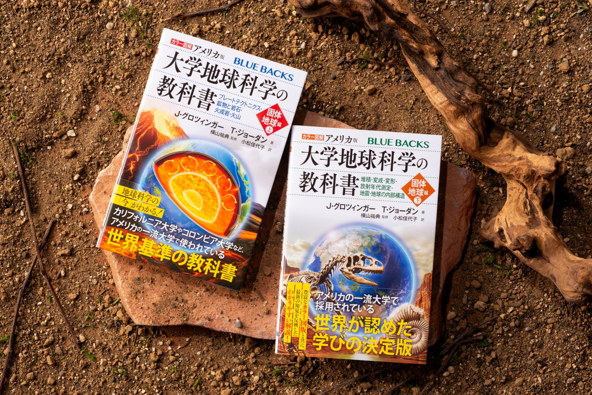 内科学 カラー版 内科学 カラー版 内科学 : カラー版 内科学