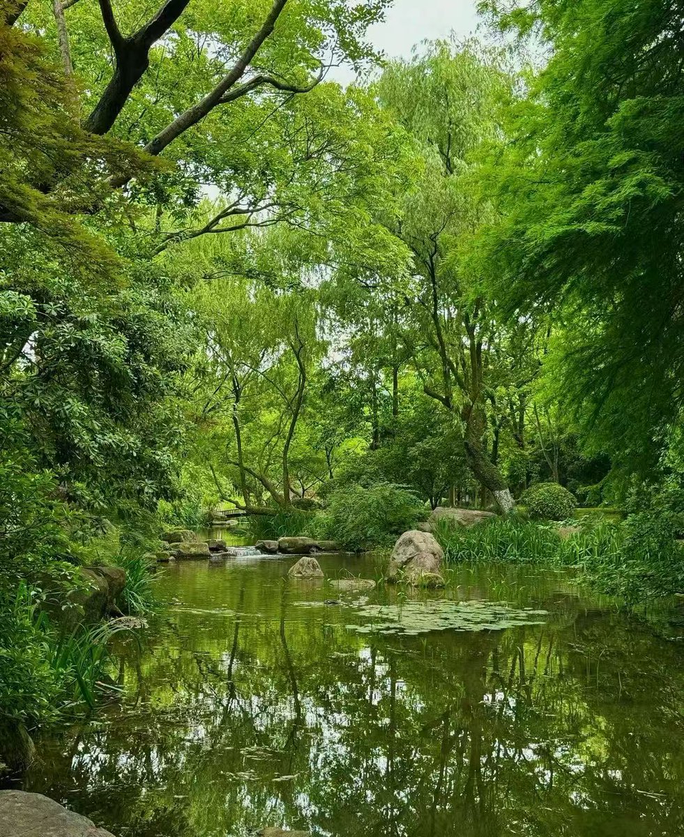 Jet 🎒 tweet media