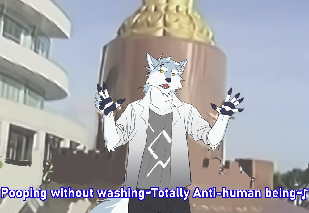 冰狼小寒 (@icewolfhan) on Twitter photo 