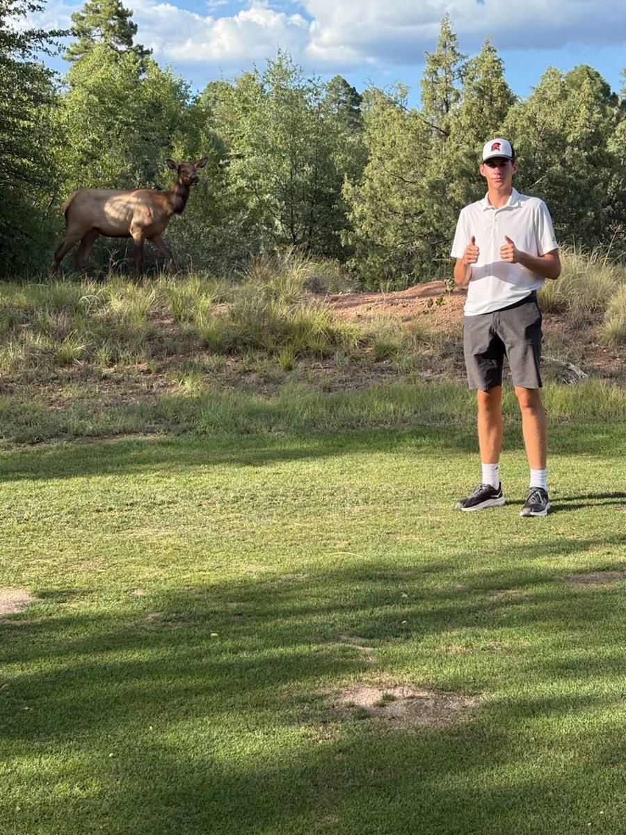 Mark MacGowan tweet media