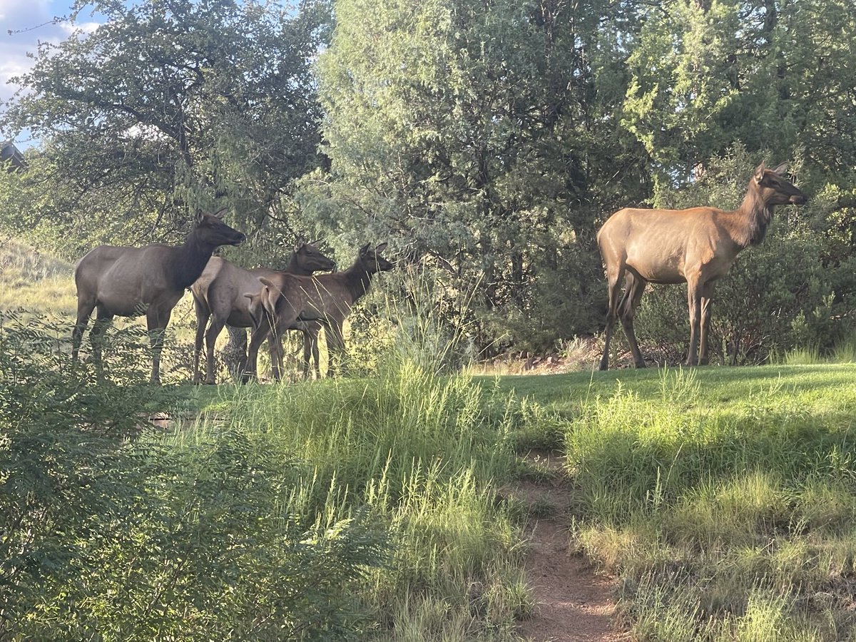 Mark MacGowan tweet media