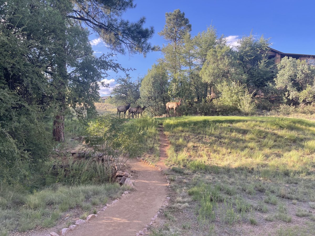 Mark MacGowan tweet media