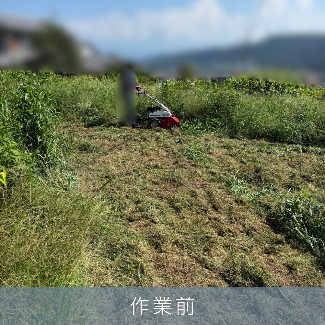 PLUS_WORKS's tweet photo. ホームページをご覧になった富士市のお客様
草刈り倒し定期契約、除草剤散布のご相談
草刈機、ハンマーナイフ使用
お客様の除草剤、噴霧器使用
無事作業終了…暑かった。。
ご満足いただけたようで何よりです。ありがとうございます。
＃富士市
＃草刈り
＃刈り倒し
＃伐採
＃剪定 https://t.co/vRxRjiuKor