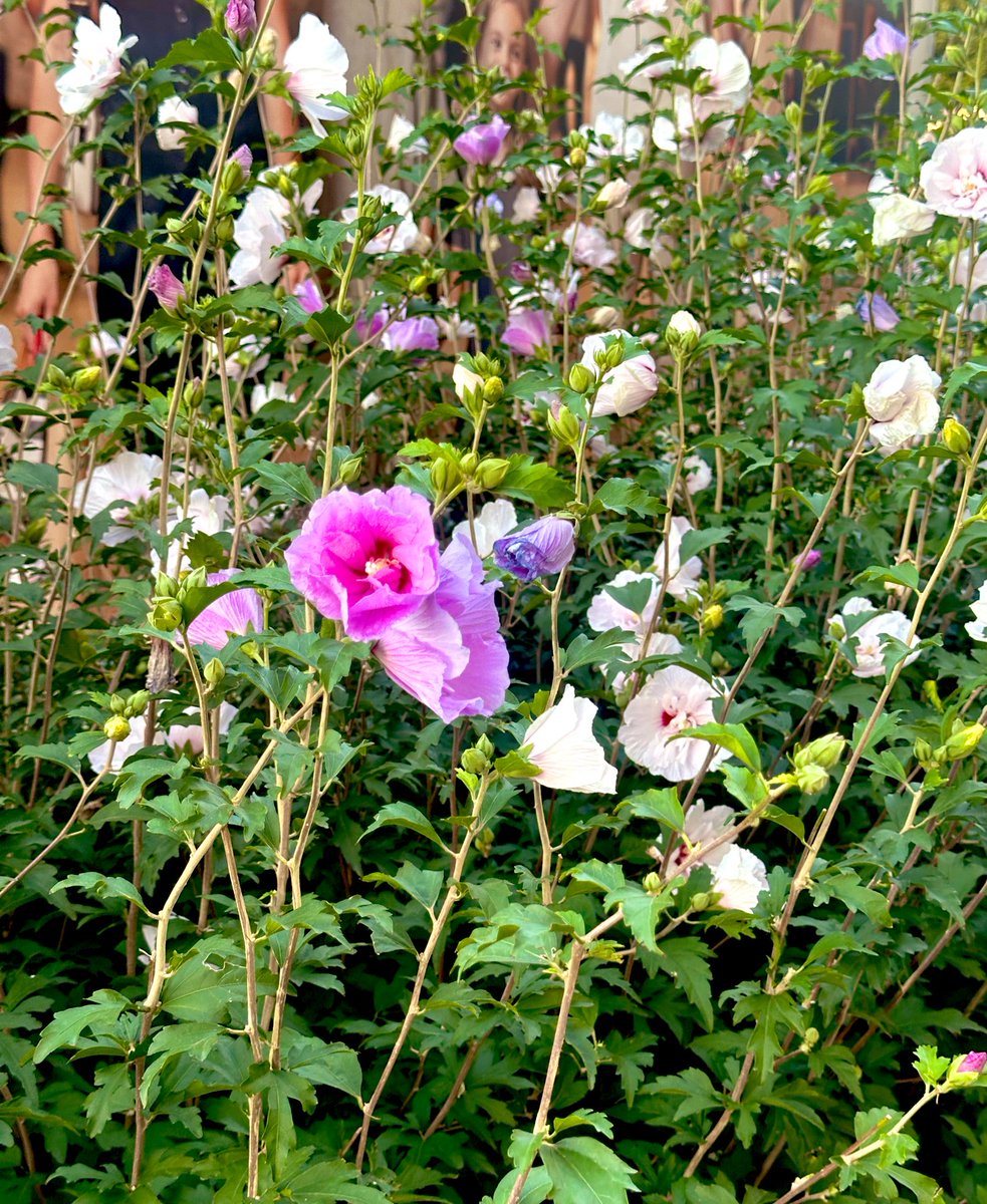 Za lepši početak dana.🙂