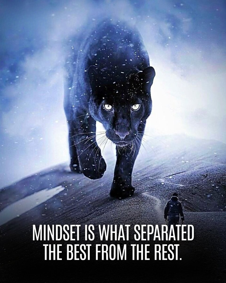 HoliHappiness's tweet image. 15 Brutal Truths That Will Shift Your Perspective on Life:

1.
