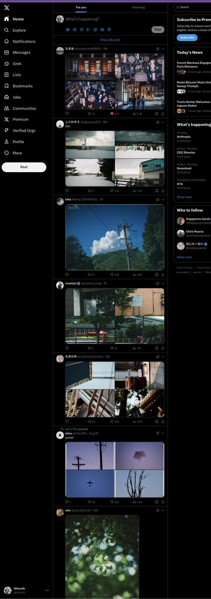 help I went on a like spree and my entire feed is photography now