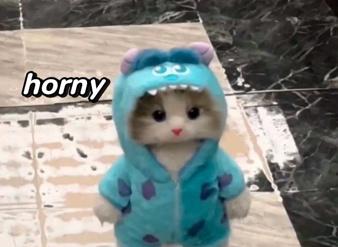 raccoon aesthetic. tweet media