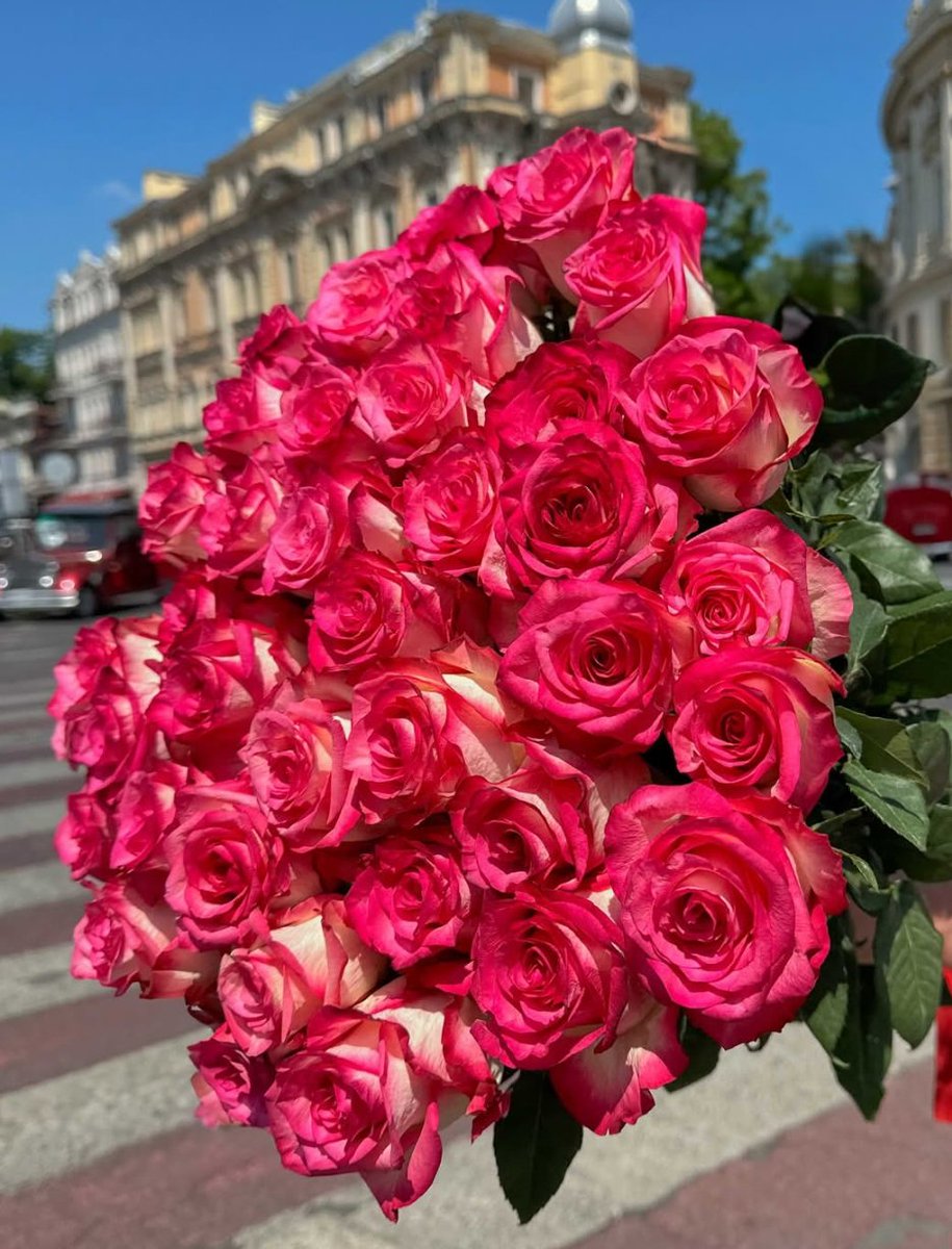 Х.уттеряне, Вам: