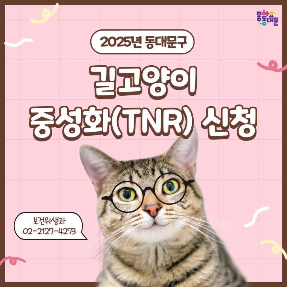 ddm4you's tweet photo. 😺-🥜 = 
 2025년 동대문구 지역주민 길고양이 중성화(TNR) 신청
👉 https://t.co/bC1gpf5Qzt https://t.co/RJtjWh6Z9u