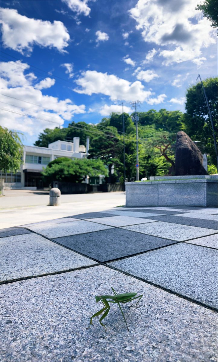 tonomuseum's tweet image. 夏のおわり