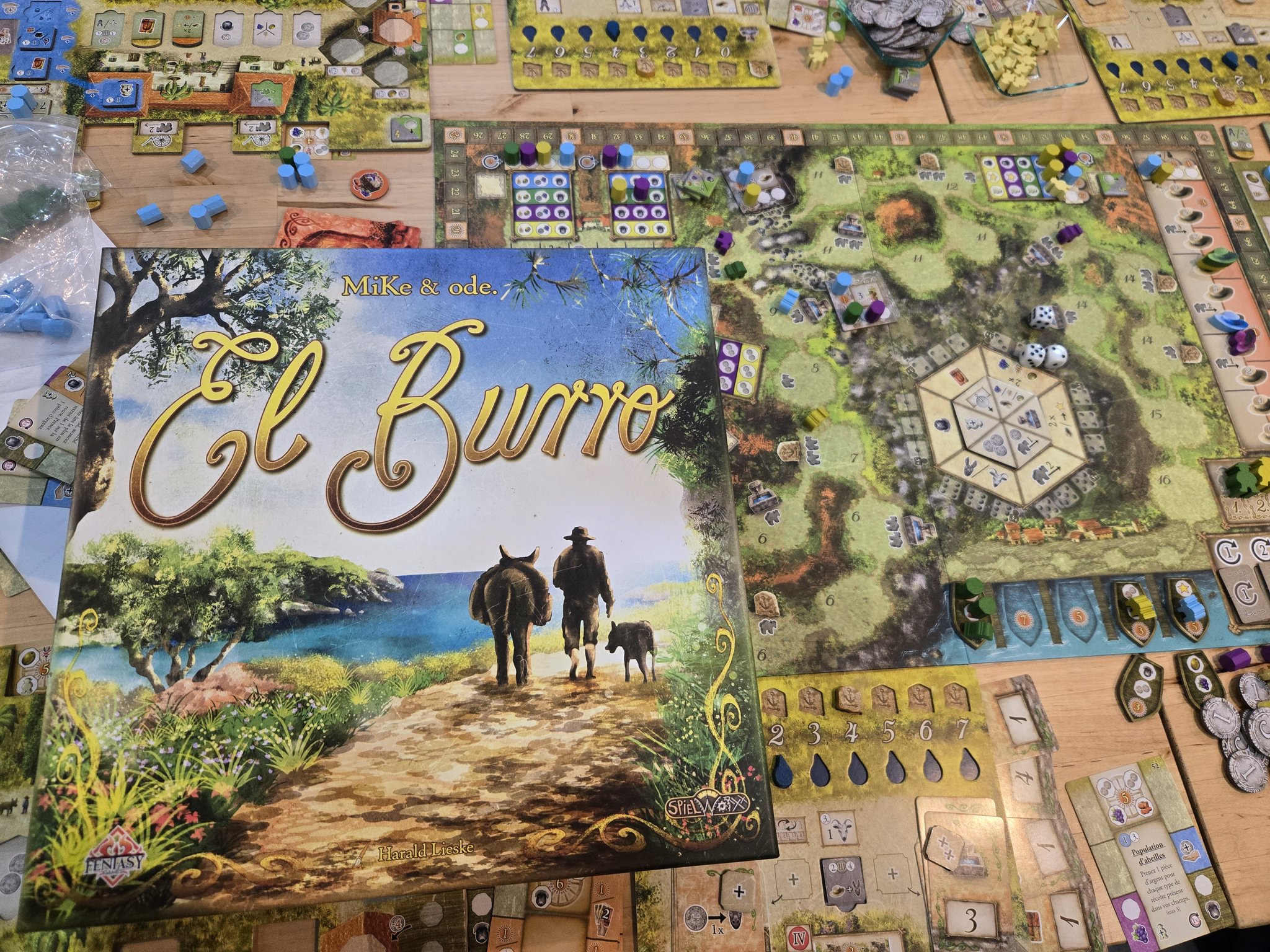 ボードゲーム　メルヘン王国を救え メルヘン王国を救え！」─時にはあきらめて、中成功を目指す