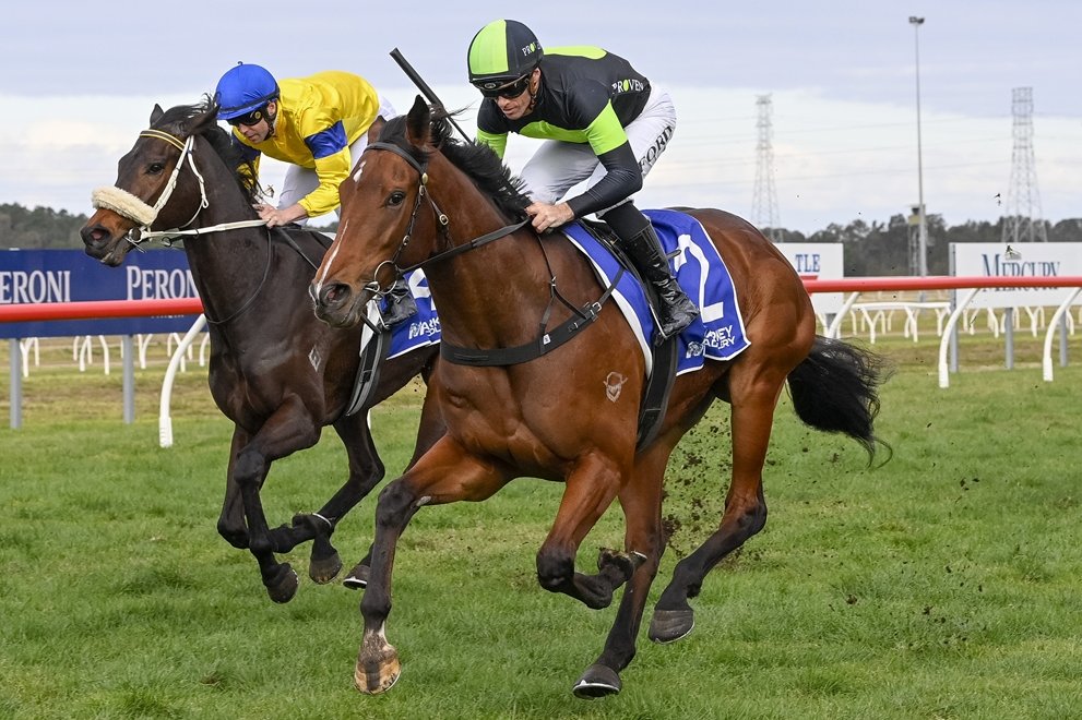 “We get to test him out over further and I’m looking forward to the challenge."

Kerry Parker often uses Midway races to transition a promising horse to the city &amp; he hopes Wild Thoughts can make that step at Rosehill on Saturday.📸<a href="/Bradley_Photos/">Bradley Photos</a>

STORY: tinyurl.com/2w6rceuw